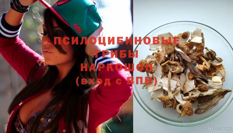 Галлюциногенные грибы Psilocybine cubensis  купить  цена  Саки 